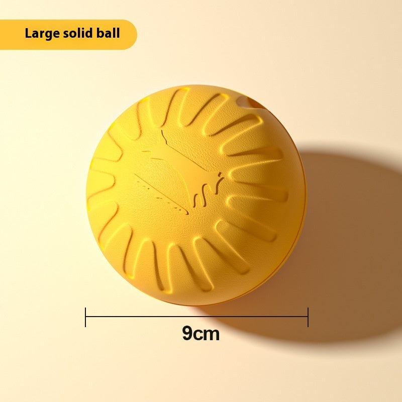 Dog Training Special Border Collie Supplies