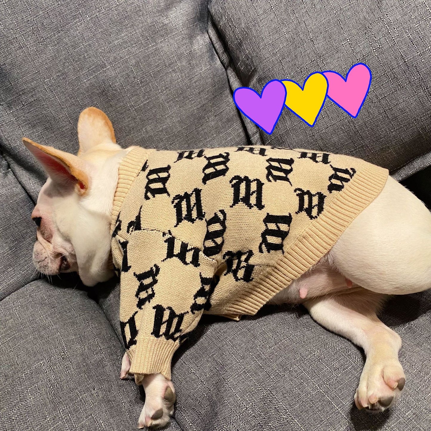 Jarre Aero Bull Teddy Schnauzer Internet Celebrity Puppy Sweater