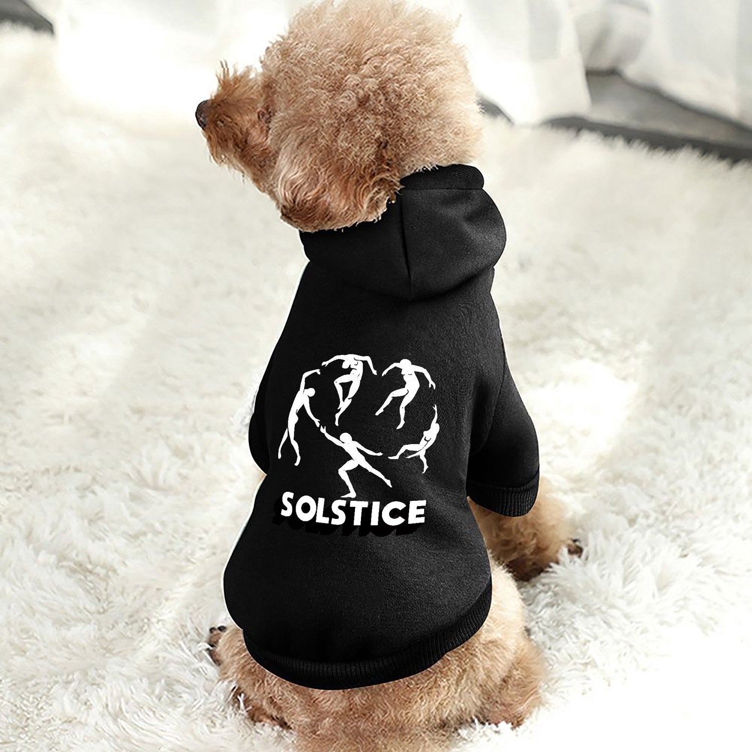 Pets Fashion