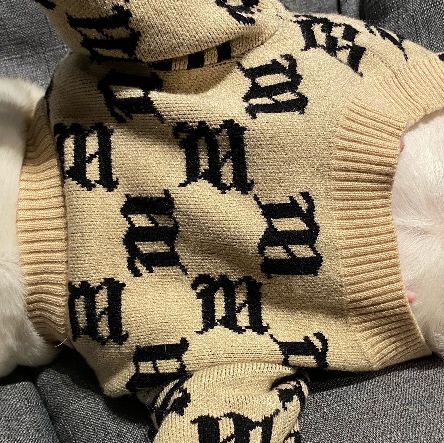 Jarre Aero Bull Teddy Schnauzer Internet Celebrity Puppy Sweater