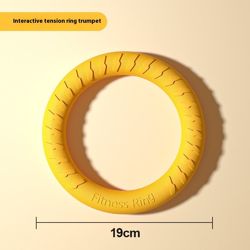 Dog Training Special Border Collie Supplies