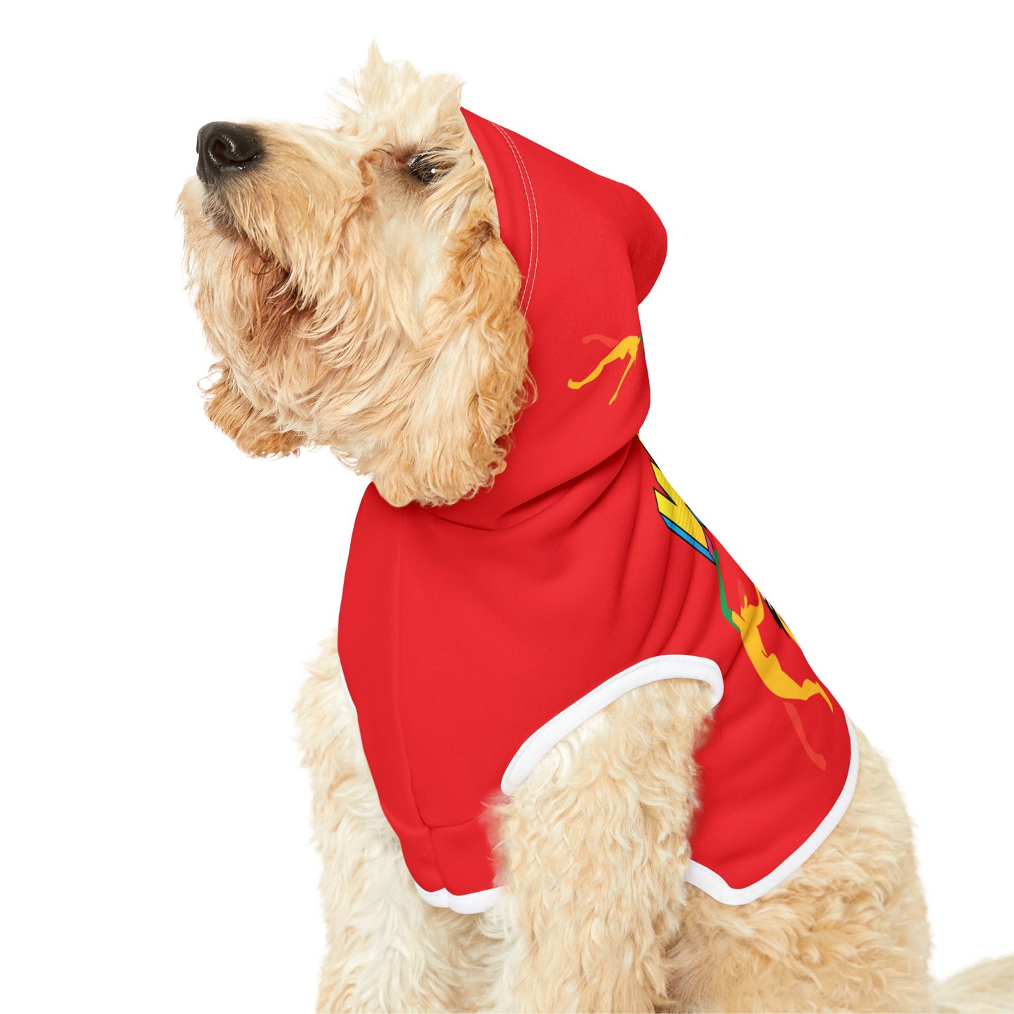 Solstice Wake  Up Dance Pet Hoodie