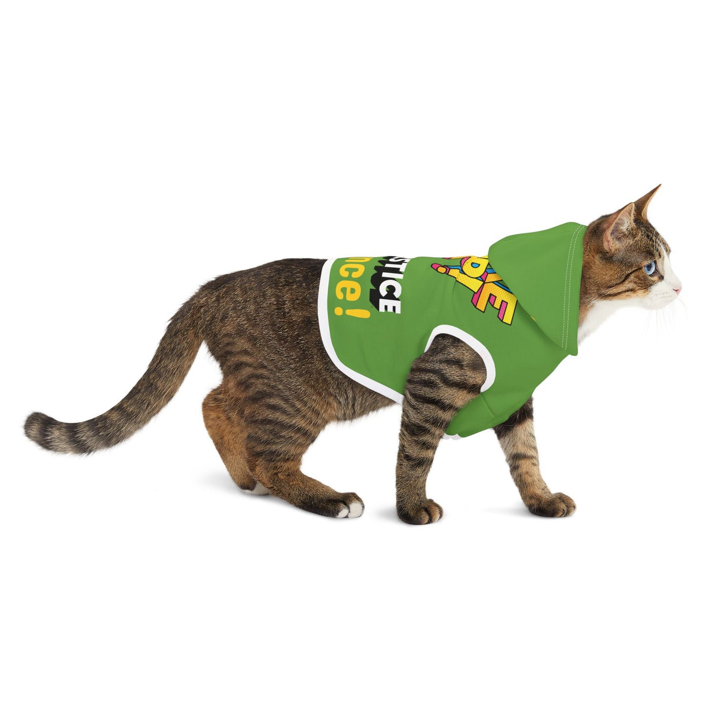 Solstice Wake  Up Dance Pet Hoodie