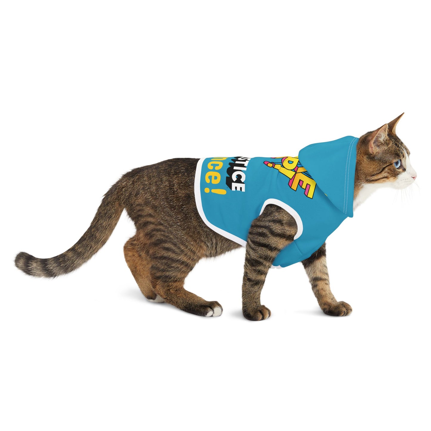 Solstice Wake  Up Dance Pet Hoodie