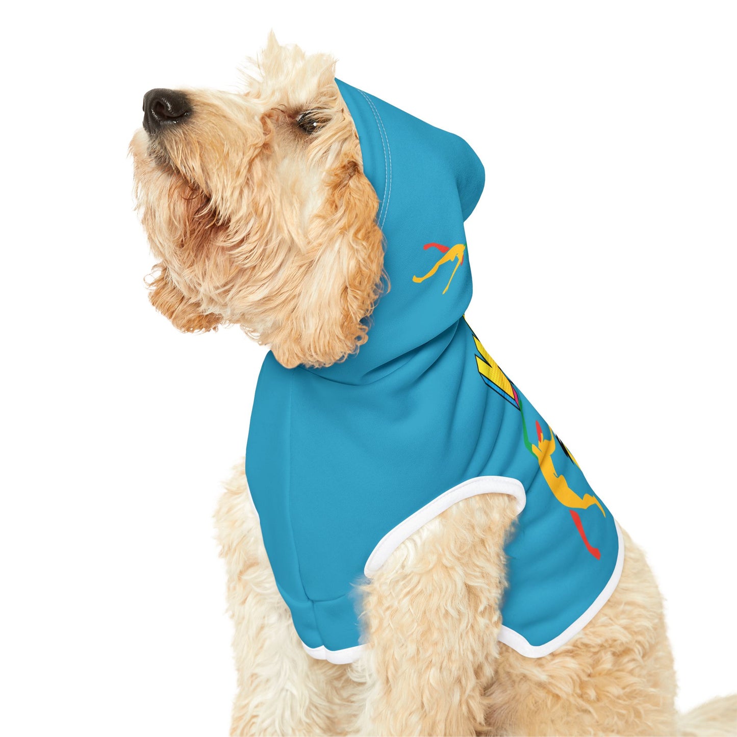 Solstice Wake  Up Dance Pet Hoodie