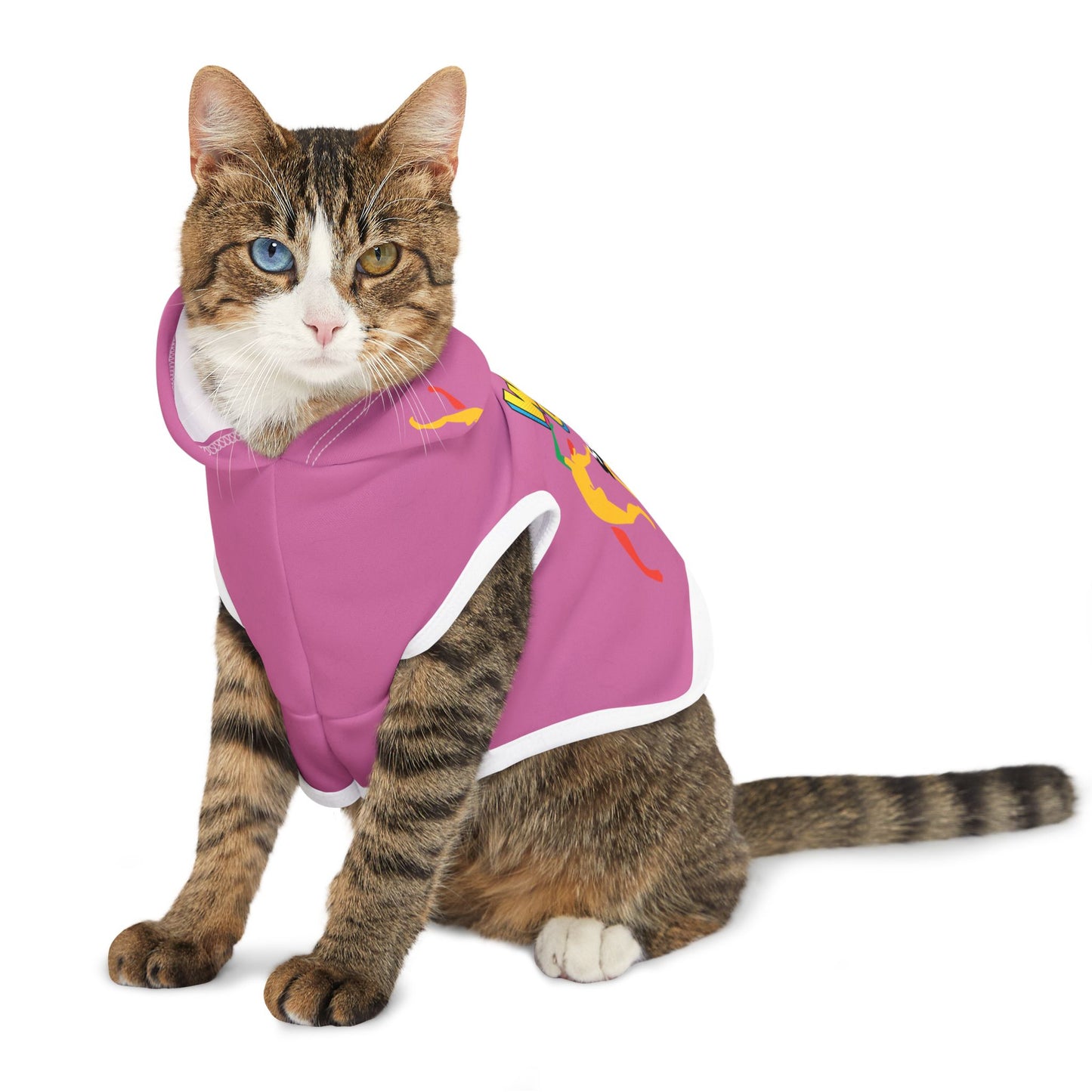 Solstice Wake  Up Dance Pet Hoodie