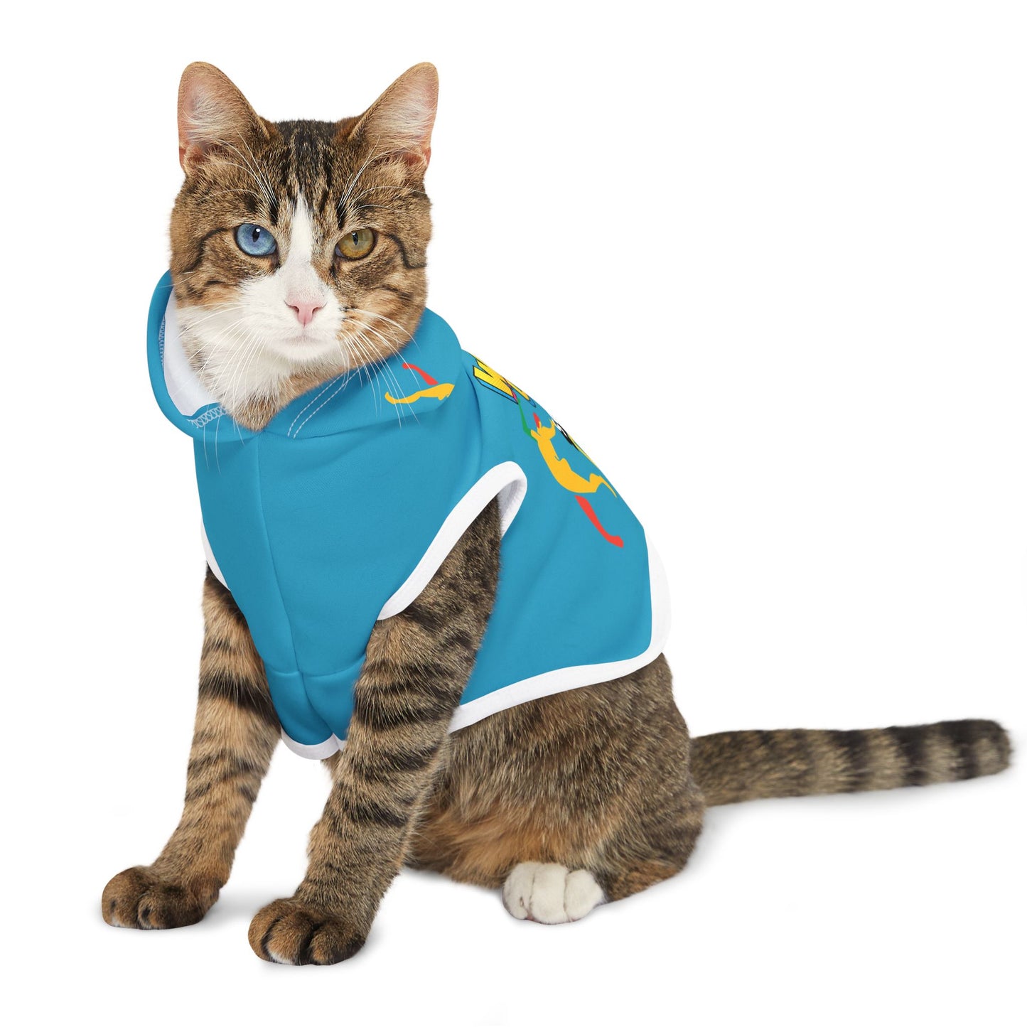 Solstice Wake  Up Dance Pet Hoodie