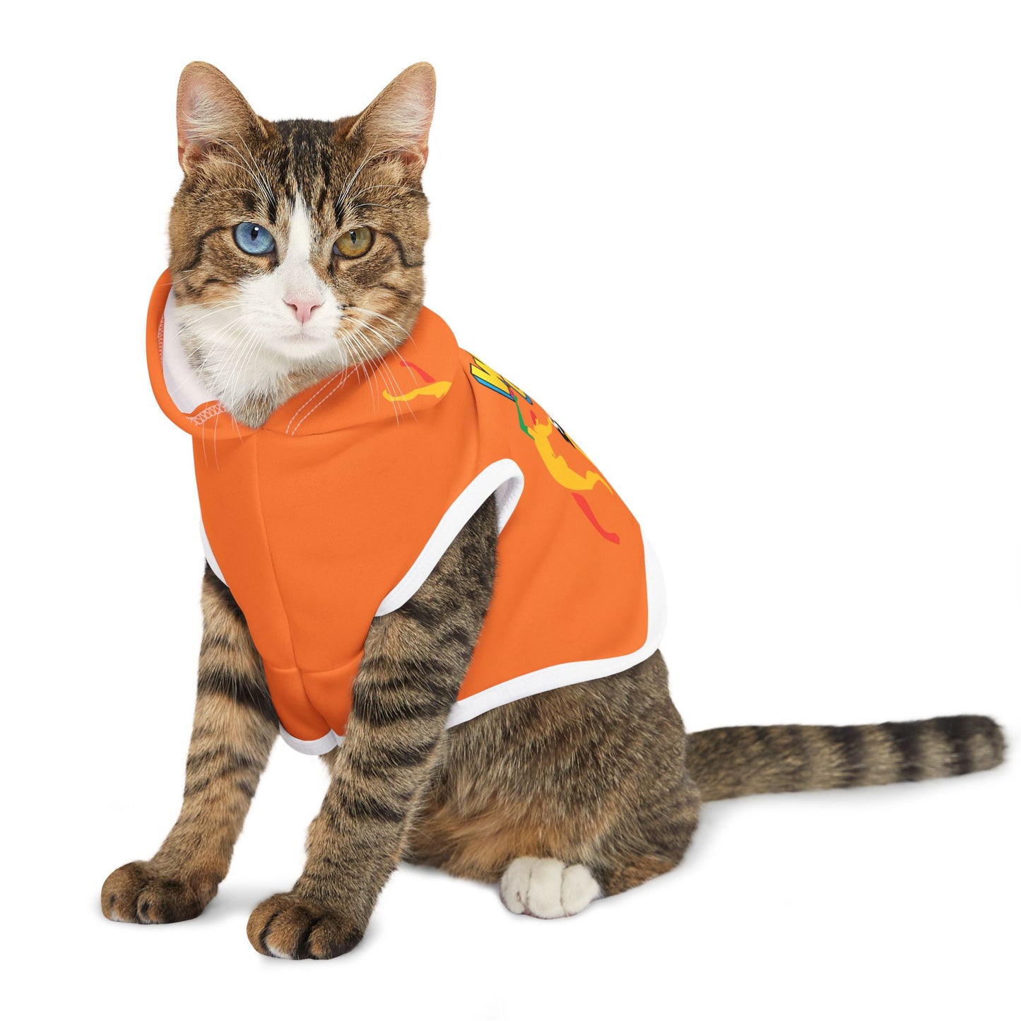 Solstice Wake  Up Dance Pet Hoodie