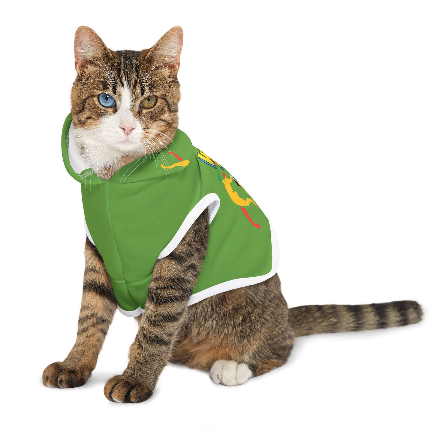 Solstice Wake  Up Dance Pet Hoodie