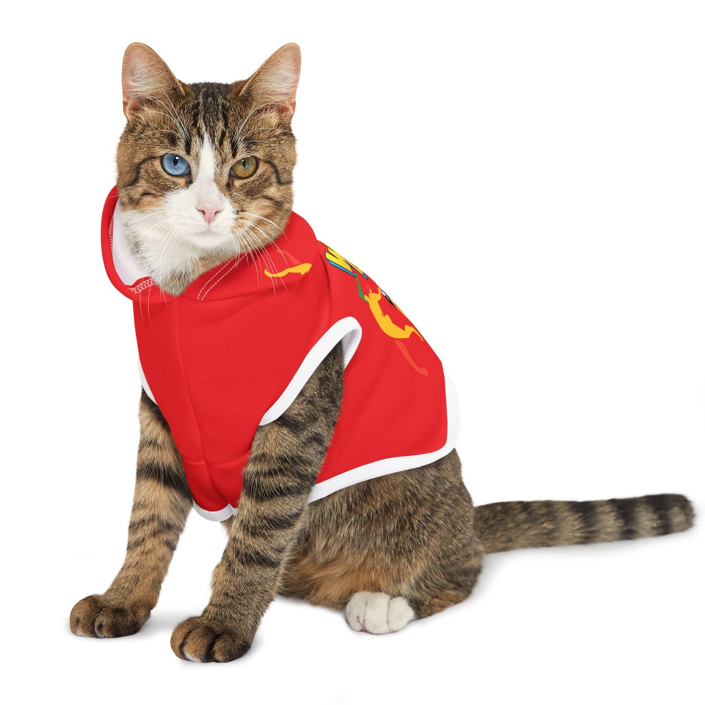 Solstice Wake  Up Dance Pet Hoodie