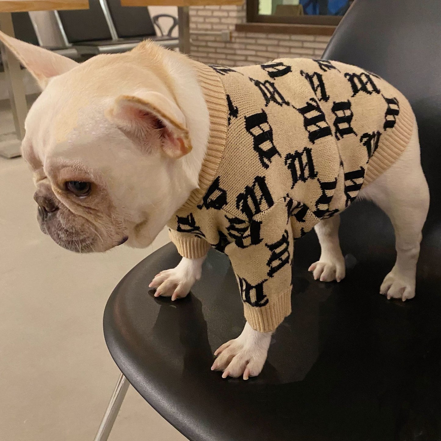 Jarre Aero Bull Teddy Schnauzer Internet Celebrity Puppy Sweater