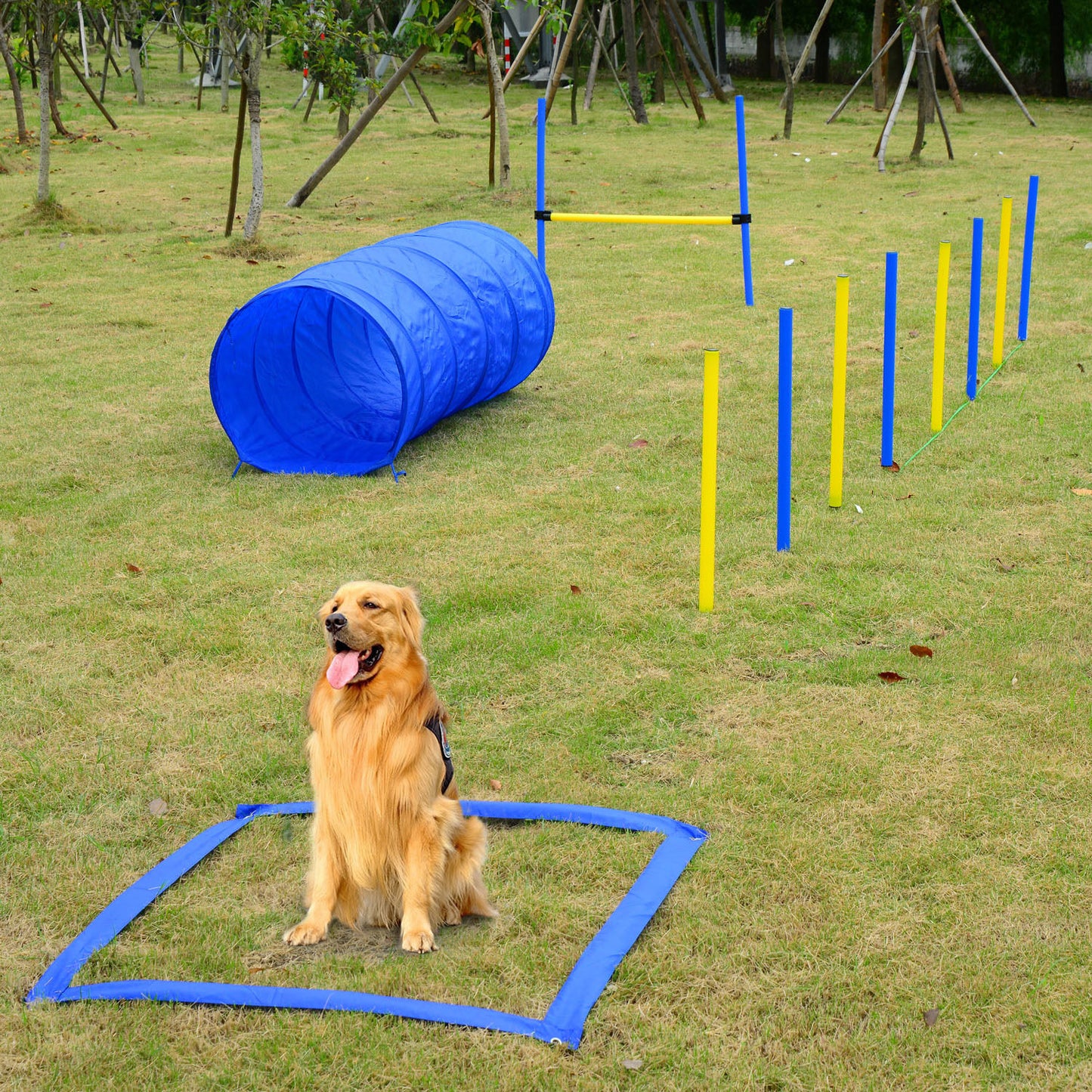 Portable Pet Agility Pet Training Set Dog Obstacle Exercise Adjustable Jump Ring High Jumper w/ Carry Bag ONLY TO USA