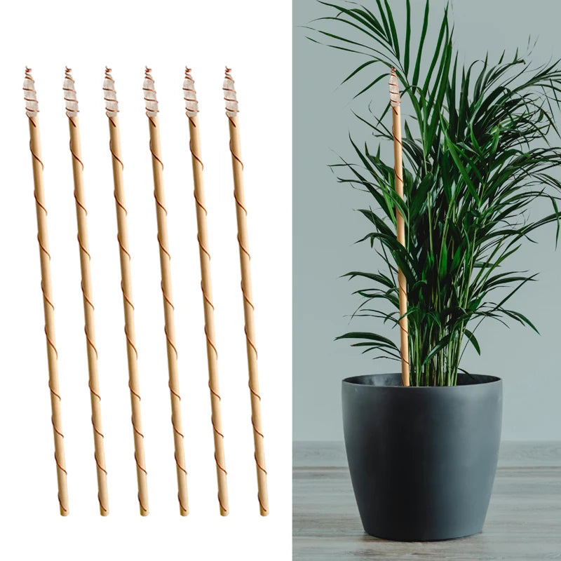 Miracle Copper Wire Wrapped  Wood Wand clear Quartz Plant Growth Energy Electroculture Plant Stake