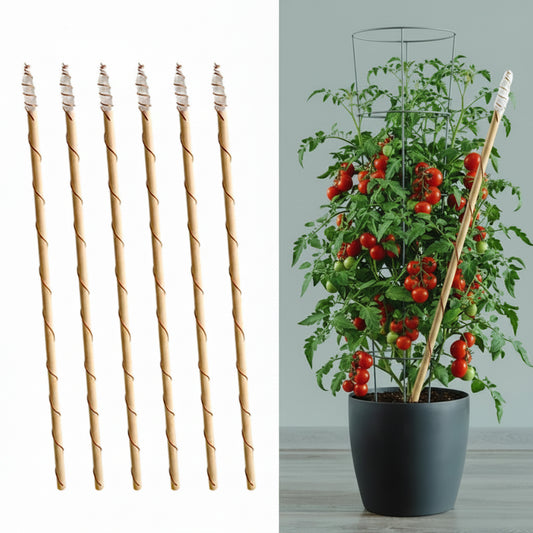 Copper Wire Wrapped  Wood Wand clear Quartz Plant Growth Energy Electroculture Plant Stake