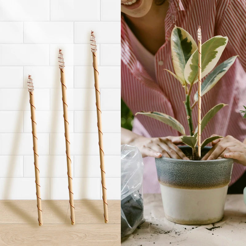 Miracle Copper Wire Wrapped  Wood Wand clear Quartz Plant Growth Energy Electroculture Plant Stake