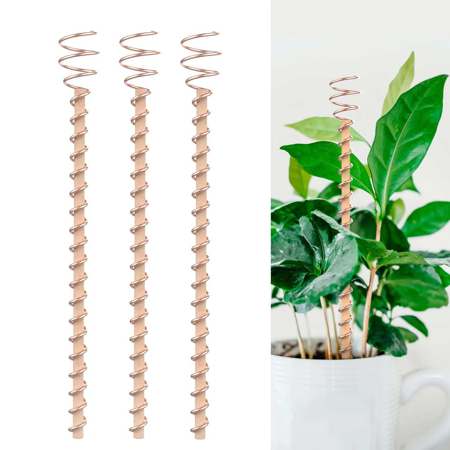 1/2/3PCS Electroculture Plant Stakes Gardening Copper Coil Antennas for Growing Garden Plants and Vegetables Using Ether Energy
