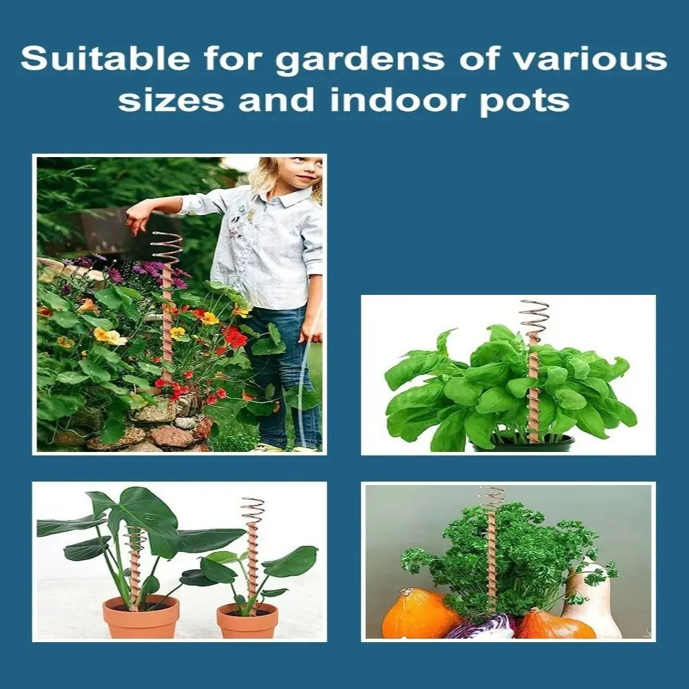 Garden & Bonsai Copper Electroculture Plant Stakes Wire Coil Wood Rod Electroculture Vegetables Stake Plant Support Frame Plants