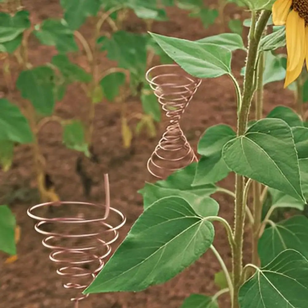Fibonacci Coil Winding Jig for Electroculture Gardening Electro Culture Copper Gardening Antenna Making Tool Copper Wire Antenna