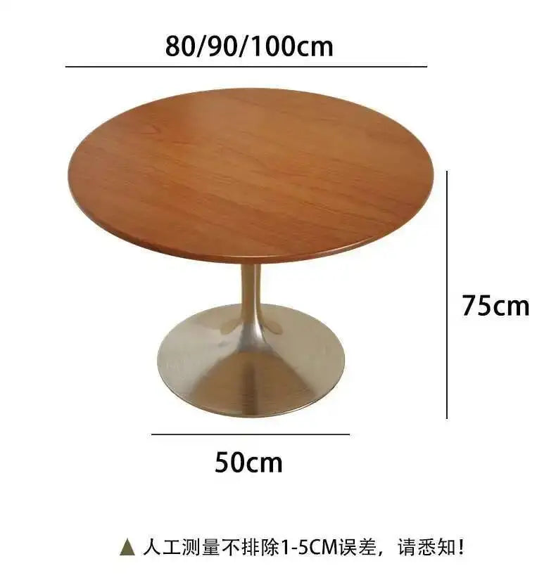 Designer Dining Chair Vintage Style Stainless Steel Study Bedroom Makeup Chair Dresser Furniture