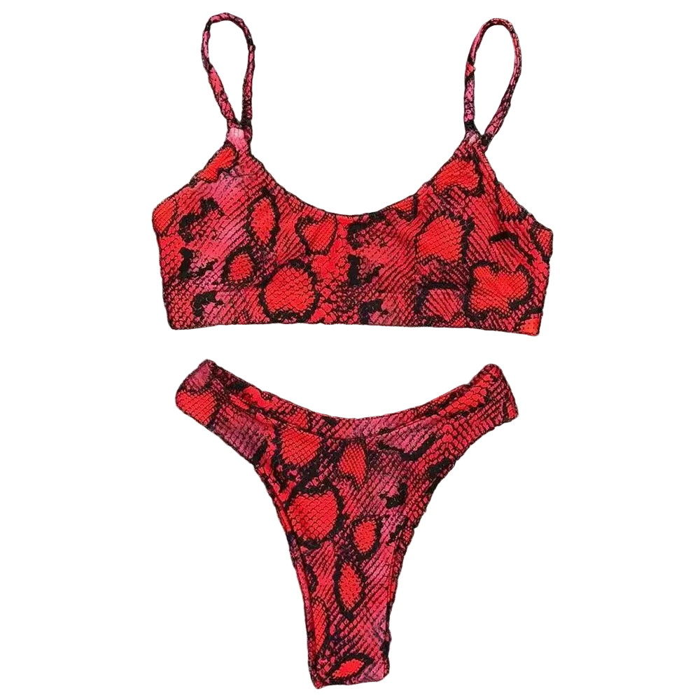 Beach Two Piece Sexy Low Waist Split Swimwear Swimsuit Bikini Set Leopard Print