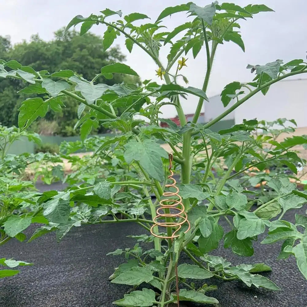 3/6 Pcs Copper Wire Coil For Gardening Electroculture Copper Antennas Stakes Spiral Copper Coil Stakes For Indoor Outdoor Plants