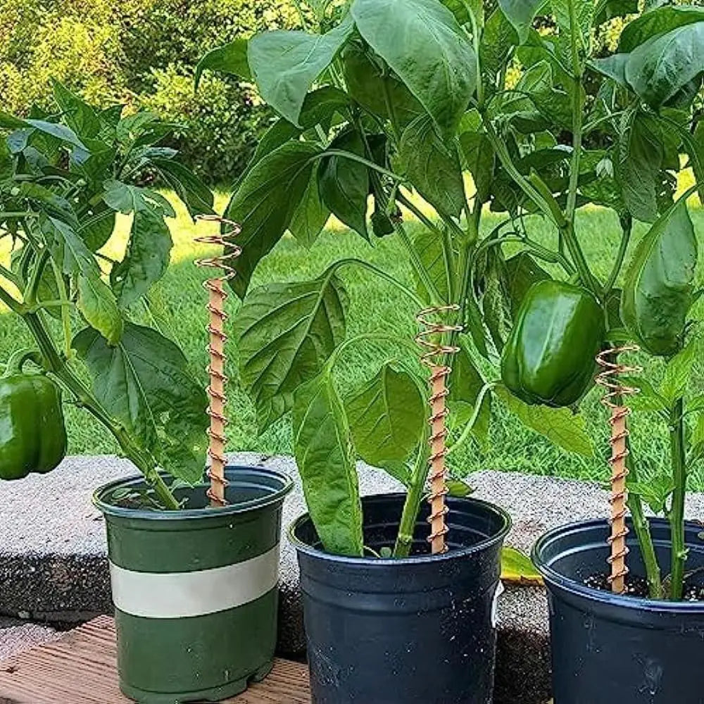 Garden & Bonsai Copper Electroculture Plant Stakes Wire Coil Wood Rod Electroculture Vegetables Stake Plant Support Frame Plants