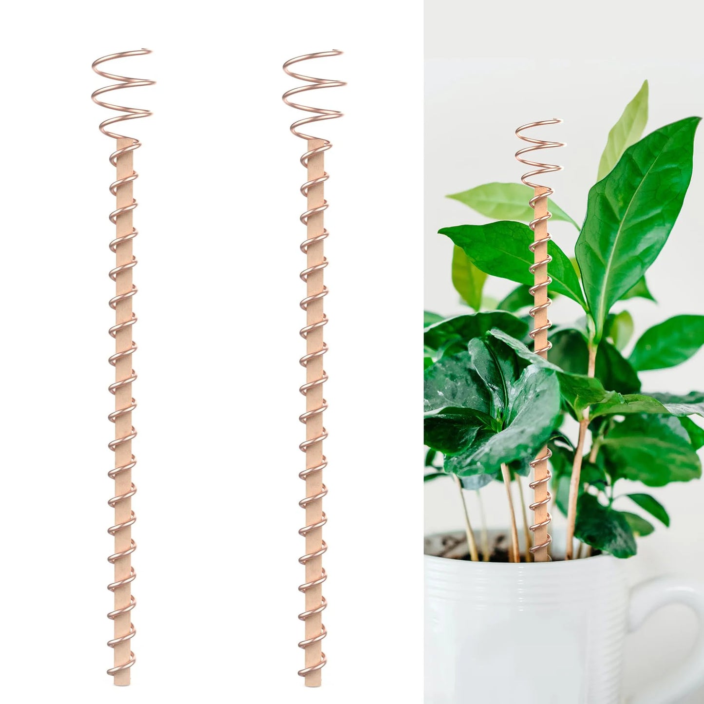 1/2/3PCS Electroculture Plant Stakes Gardening Copper Coil Antennas for Growing Garden Plants and Vegetables Using Ether Energy