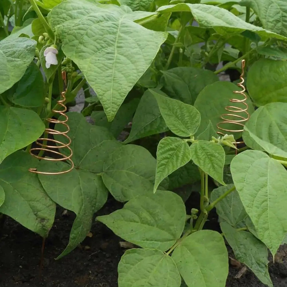 3/6 Pcs Copper Wire Coil For Gardening Electroculture Copper Antennas Stakes Spiral Copper Coil Stakes For Indoor Outdoor Plants