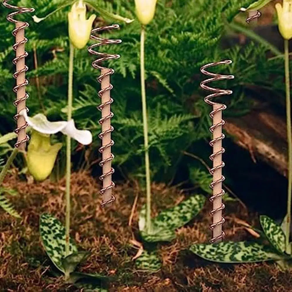 Garden & Bonsai Copper Electroculture Plant Stakes Wire Coil Wood Rod Electroculture Vegetables Stake Plant Support Frame Plants