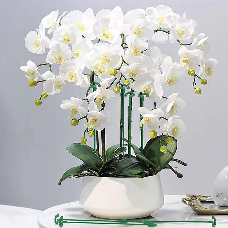 Plastic Plant Supports Stakes Flower Stand Sticks Reusable Protection Fixing Tool Flower Grow Holder Garden Tools