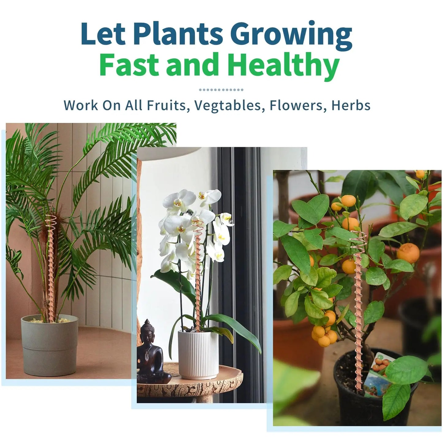 1/2/3PCS Electroculture Plant Stakes Gardening Copper Coil Antennas for Growing Garden Plants and Vegetables Using Ether Energy