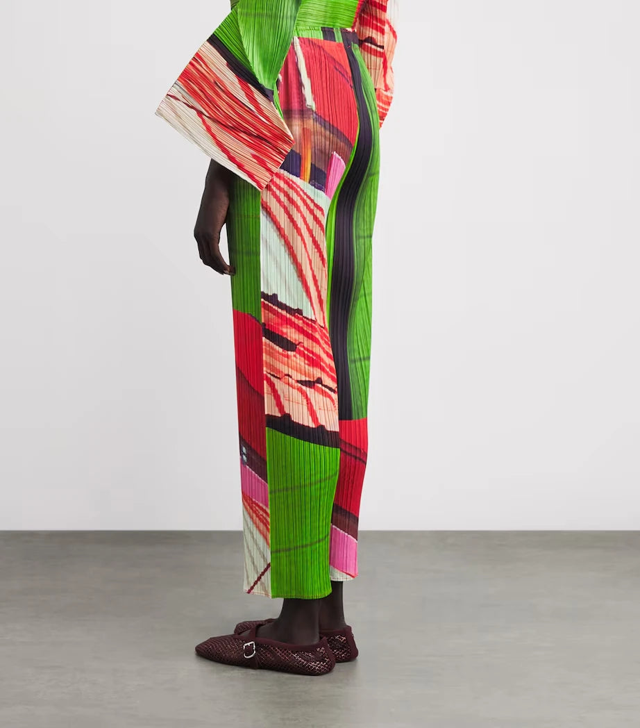Miyake Pleated Spring And Summer New Women's Pants Printed Casual Pants