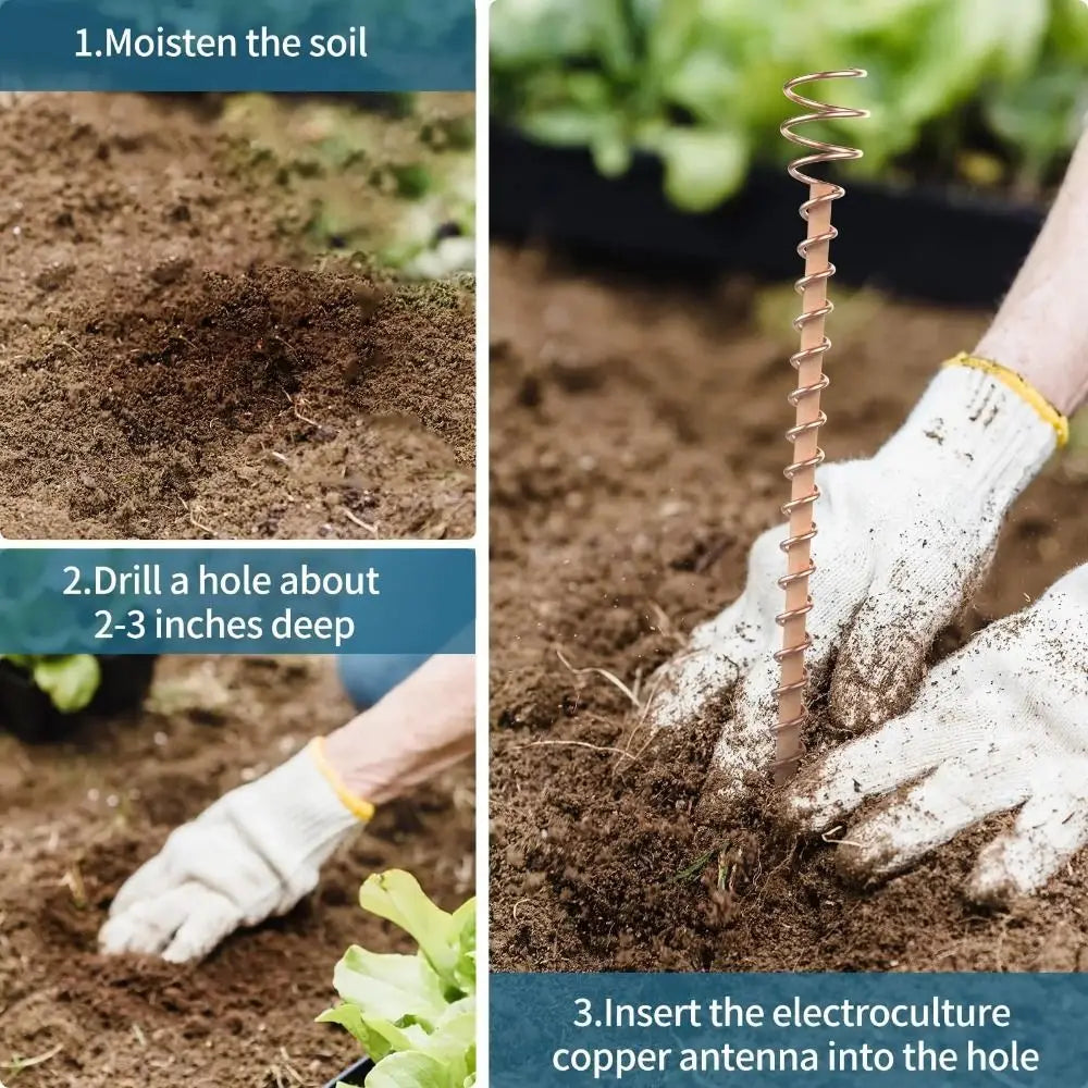 Garden & Bonsai Copper Electroculture Plant Stakes Wire Coil Wood Rod Electroculture Vegetables Stake Plant Support Frame Plants