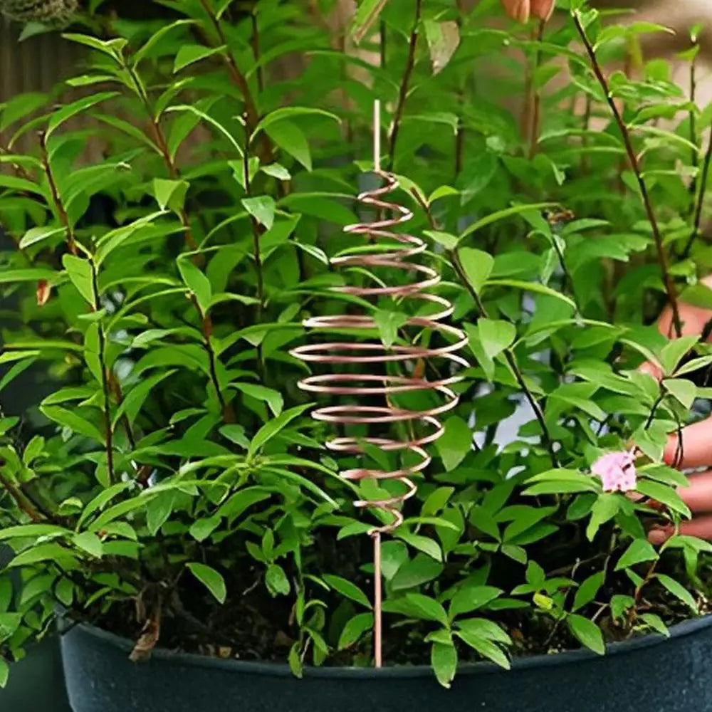Fibonacci Coil Winding Jig for Electroculture Gardening Electro Culture Copper Gardening Antenna Making Tool Copper Wire Antenna