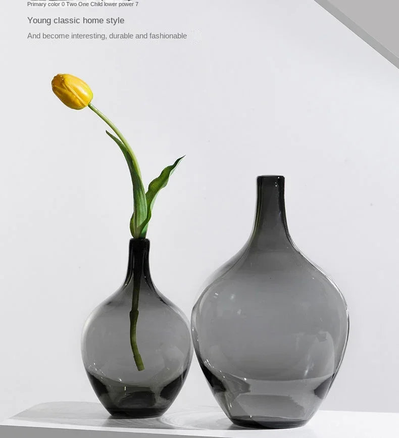 Japanese Style Big Belly Clear Glass Vase Living Room Decoration Simple Ins Home Room Decoration Wedding Decoration