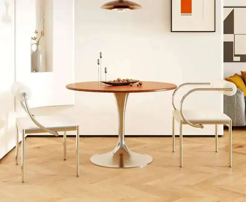 Designer Dining Chair Vintage Style Stainless Steel Study Bedroom Makeup Chair Dresser Furniture