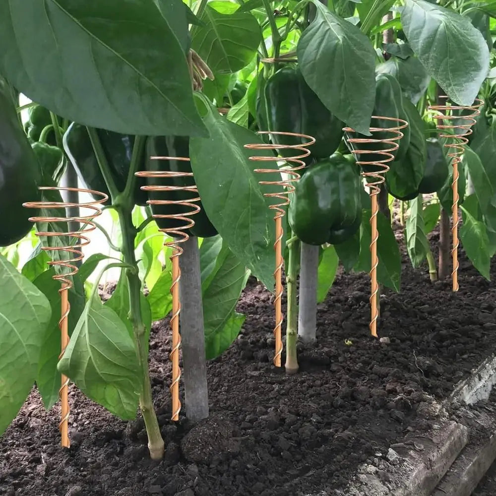 Garden & Bonsai Copper Electroculture Plant Stakes Wire Coil Wood Rod Electroculture Vegetables Stake Plant Support Frame Plants