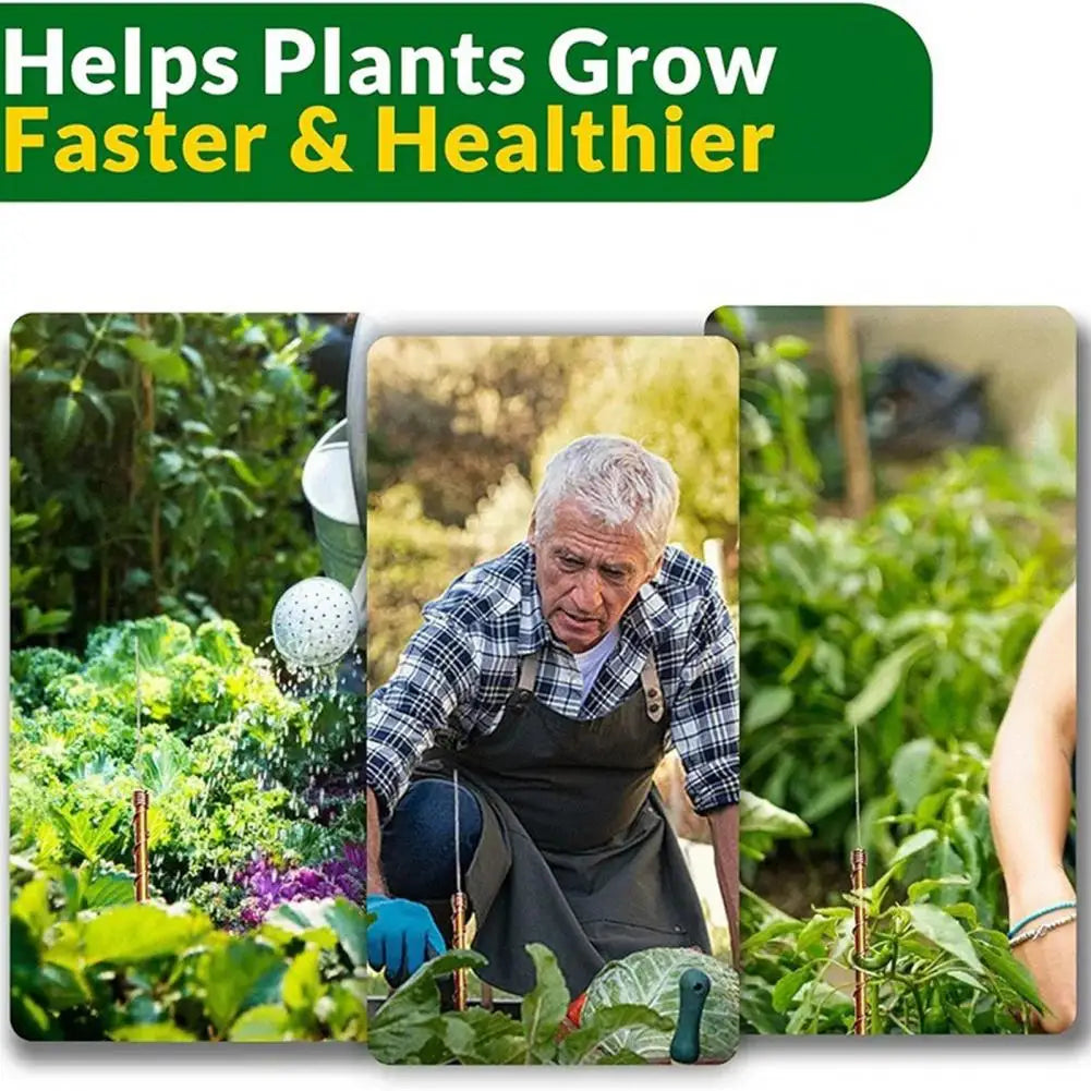 Pure Spiral Antenna for Plants Electroculture Gardening Stakes Wire Coil Antennas for Gardening Electroculture High for Indoor