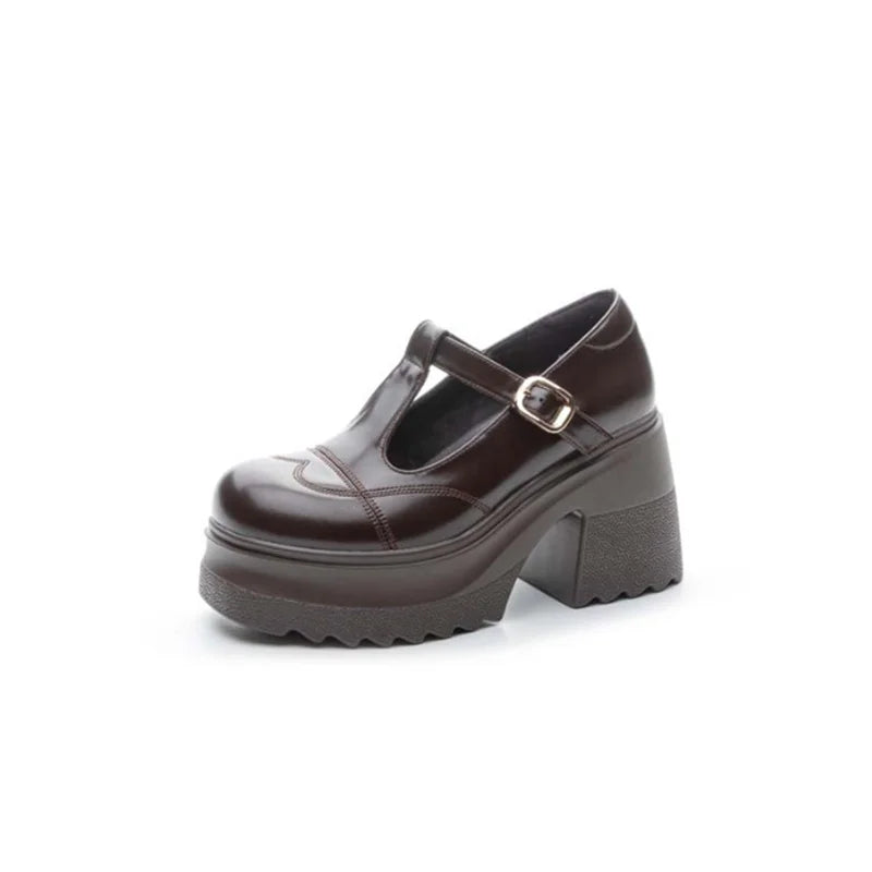 10cm Patent Leather Platform Wedge Flats Summer Chunky Heels Buckle Pumps Spring Synthetic Mary Jane High Brand Shoes