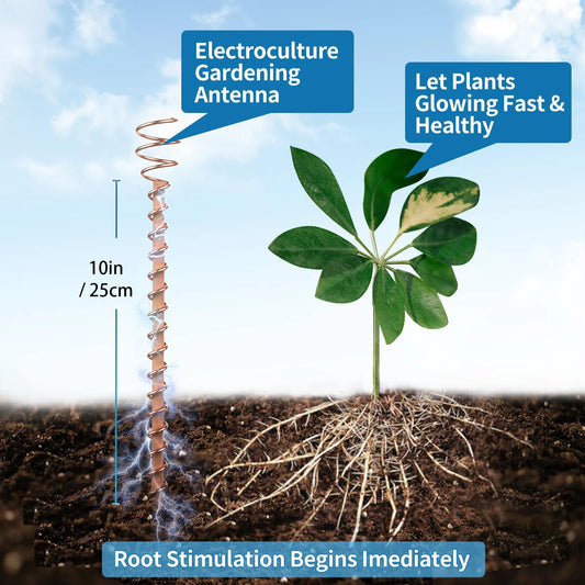 1/2/3PCS Electroculture Plant Stakes Gardening Copper Coil Antennas for Growing Garden Plants and Vegetables Using Ether Energy