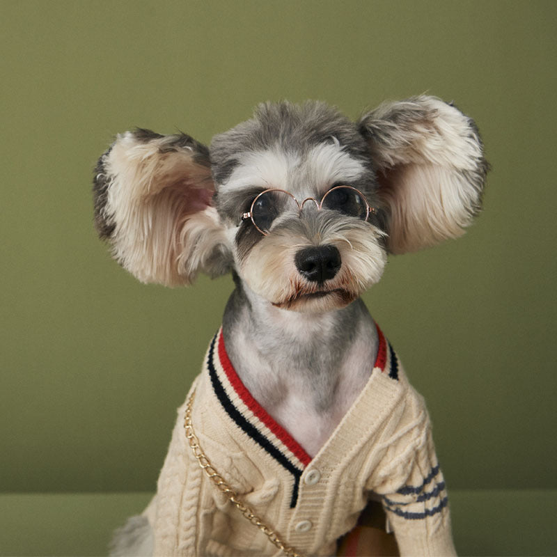 Luxury Dog Clothes Autumn And Winter Fashion Trendy Brand Sweater