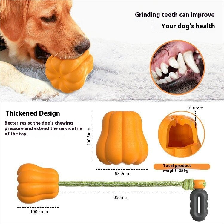 Bite Molar Outdoor Camping Long Throws Dog Toy