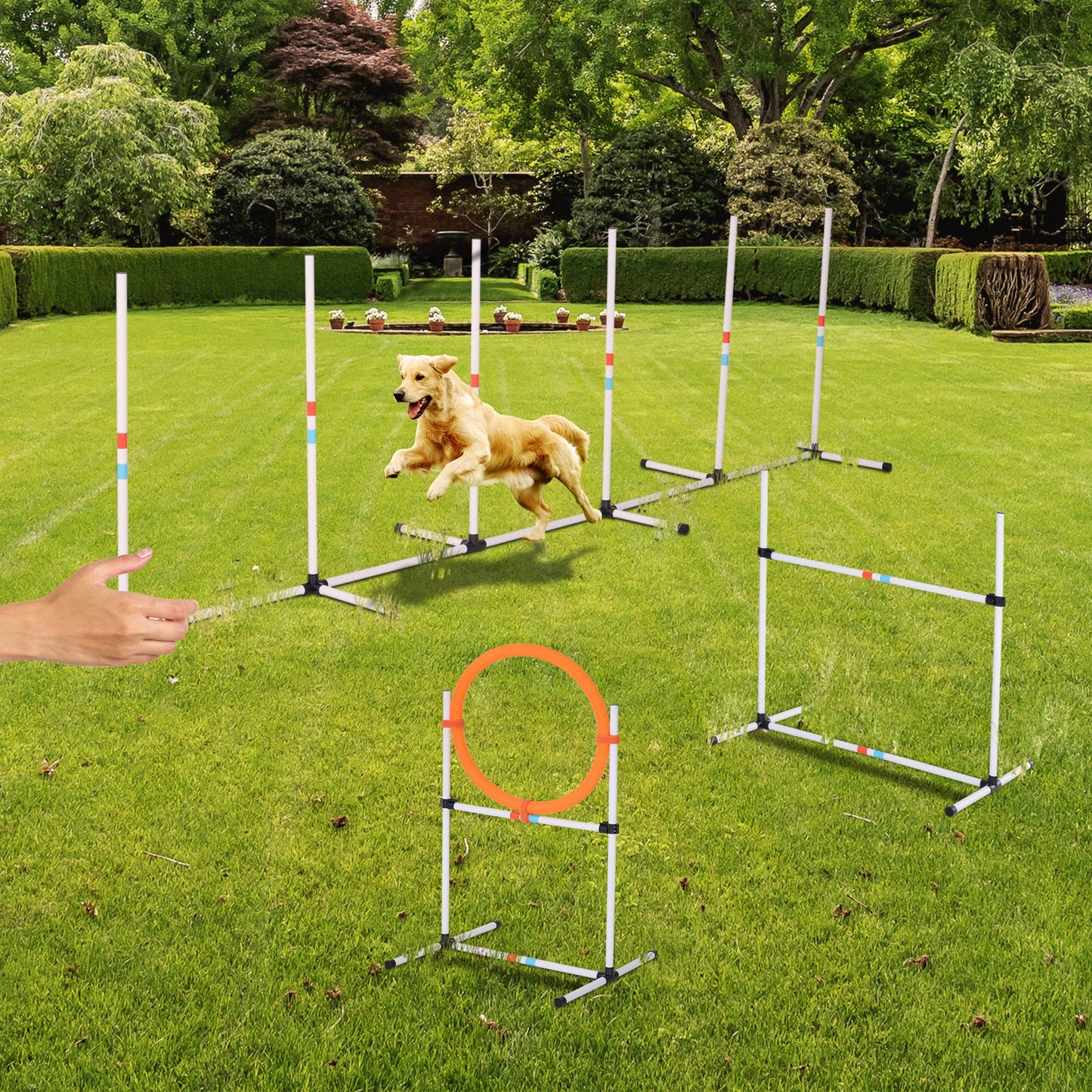 Portable Pet Agility Pet Training Set Dog Obstacle Exercise Adjustable Jump Ring High Jumper w/ Carry Bag ONLY TO USA