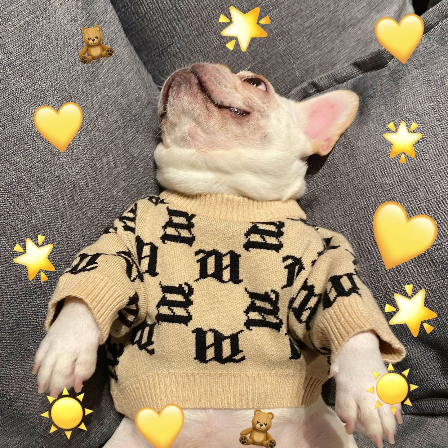Jarre Aero Bull Teddy Schnauzer Internet Celebrity Puppy Sweater