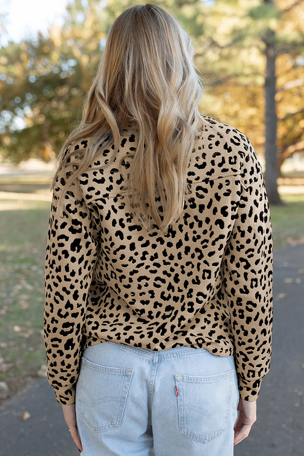Parchment Allover Leopard Contrast Trim V Neck Top